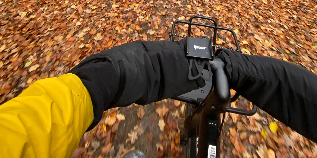 First rides into the season — the forest wrapped in amber and gold, the cold air sharp, but the freedom unmatched