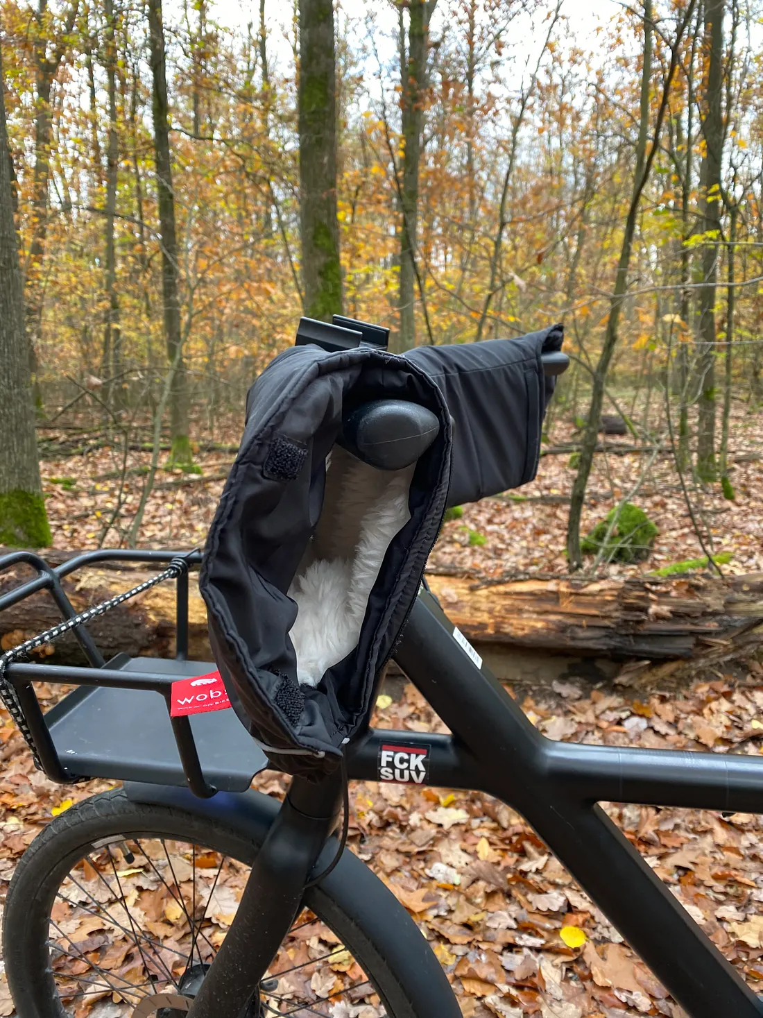 The secret weapon- handlebar pogies. They may look odd- but they turned frozen fingers into warm confidence