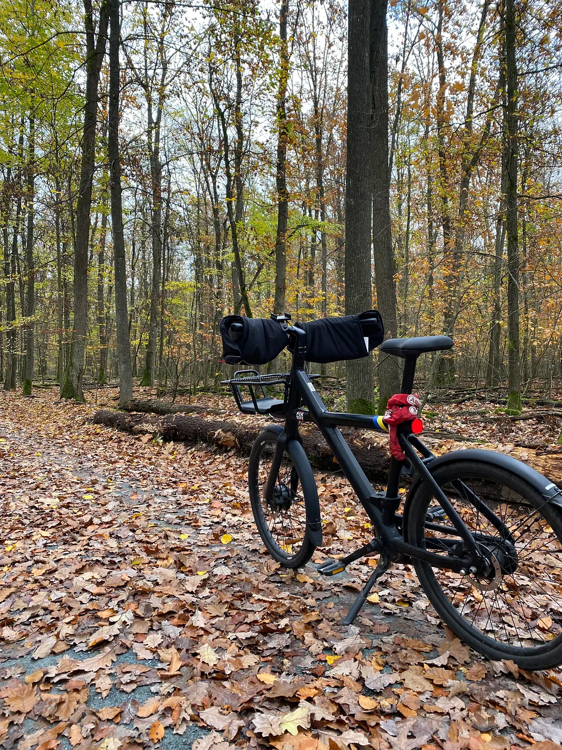 The calm before the next climb. Fallen leaves- fog- and the quiet rhythm of breath meeting winter air